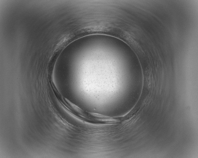 X0000052640207200507082014