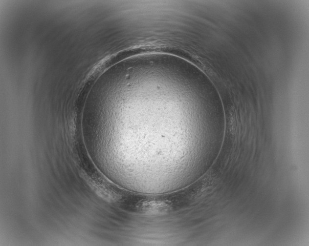 X0000052640208200507082014