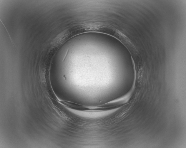 X0000052640209200507082014