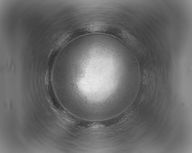 X0000052640210200507082014