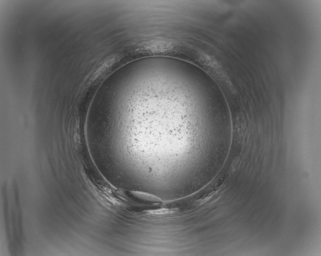 X0000052640212200507082014