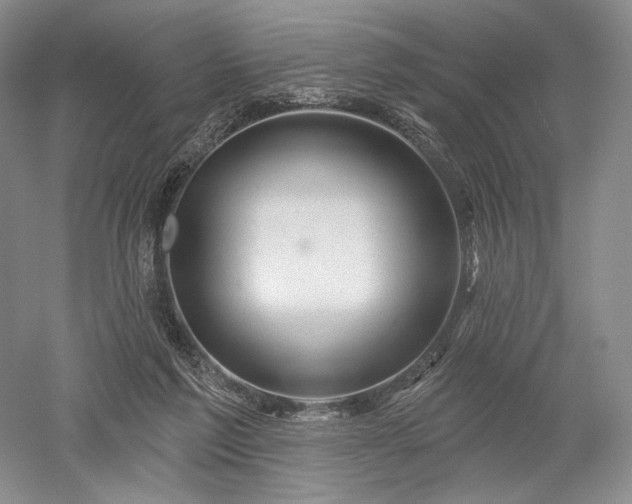 X0000052640213200507082014