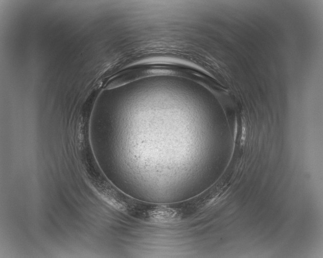 X0000052640215200507082014