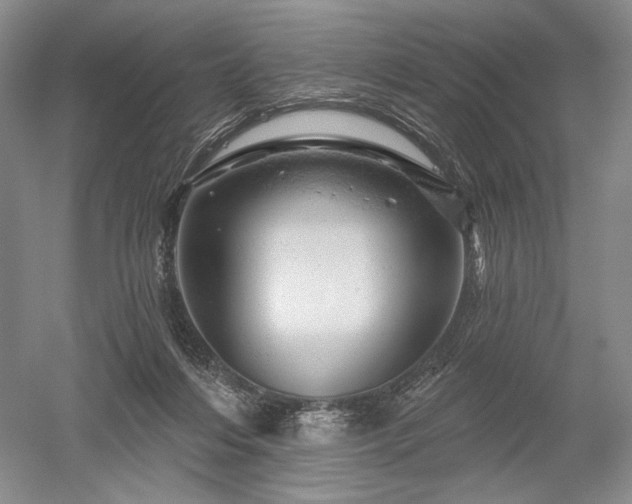 X0000052640216200507082014