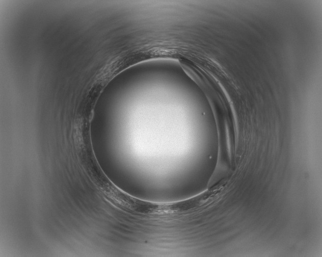 X0000052640217200507082014