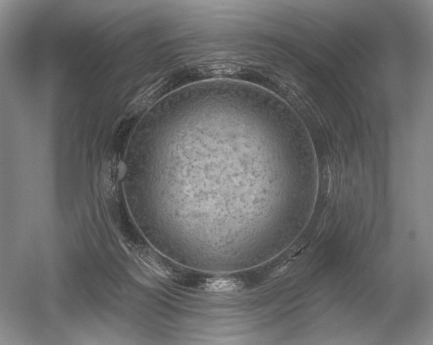 X0000052640218200507082014