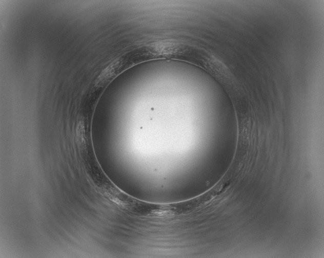 X0000052640220200507082014