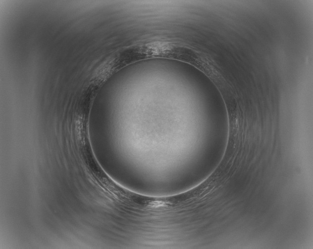 X0000052640222200507082014