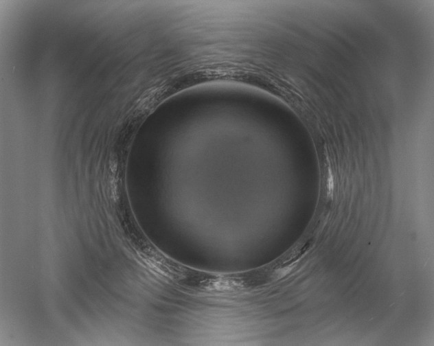 X0000052640223200507082014