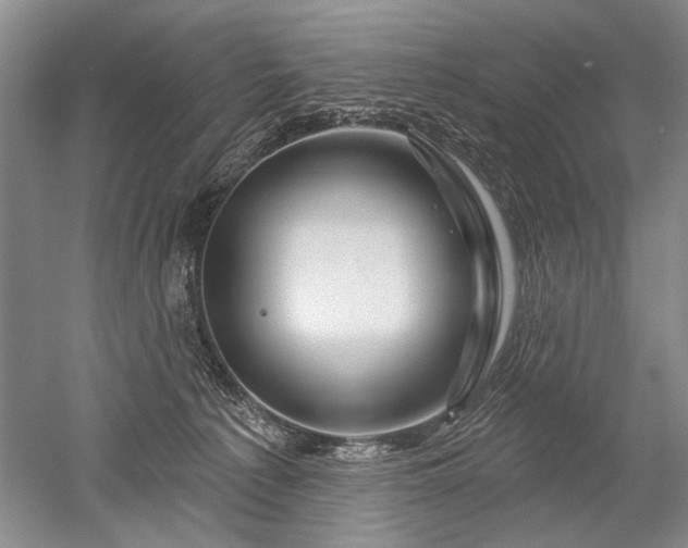 X0000052640225200507082014