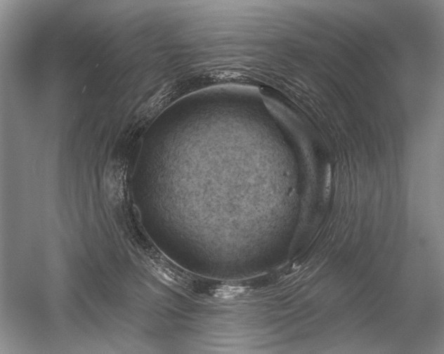 X0000052640227200507082014