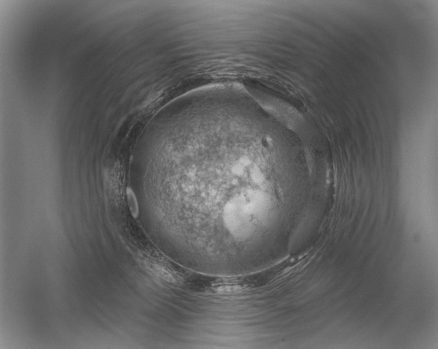 X0000052640228200507082014