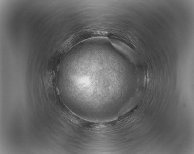 X0000052640229200507082014