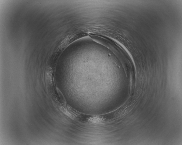 X0000052640231200507082014