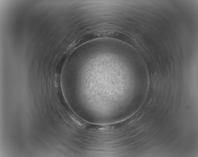 X0000052640232200507082014