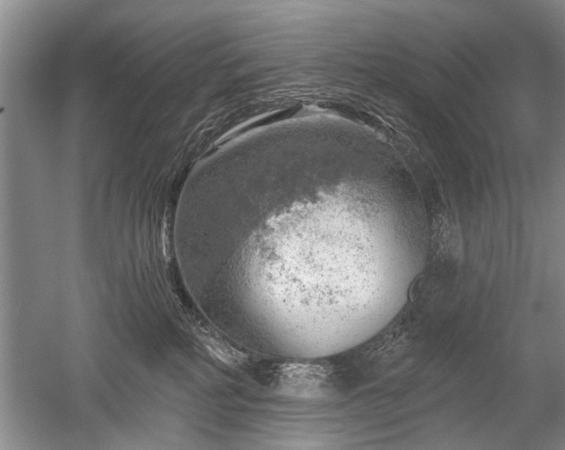 X0000052640234200507082014