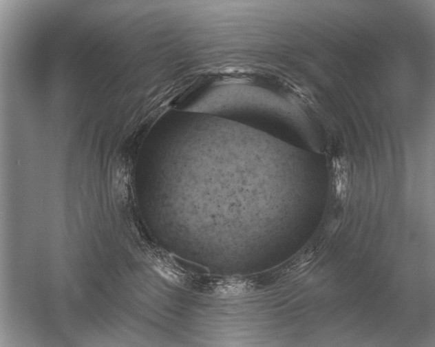 X0000052640235200507082014