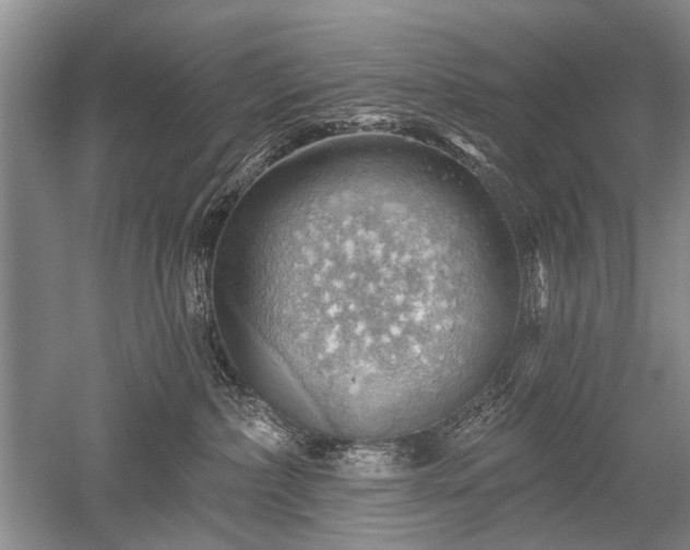 X0000052640236200507082014