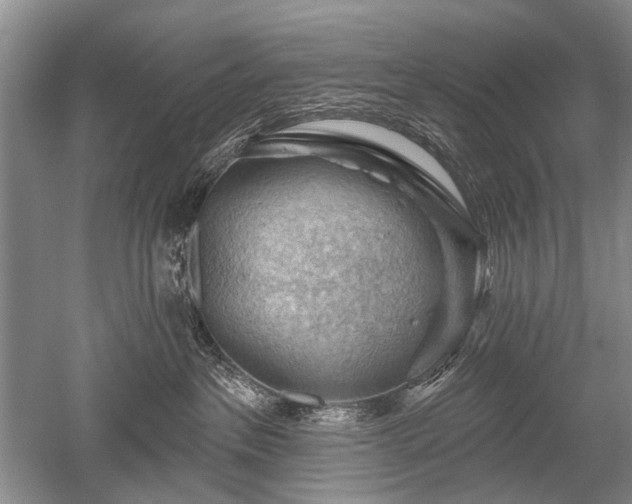 X0000052640237200507082014