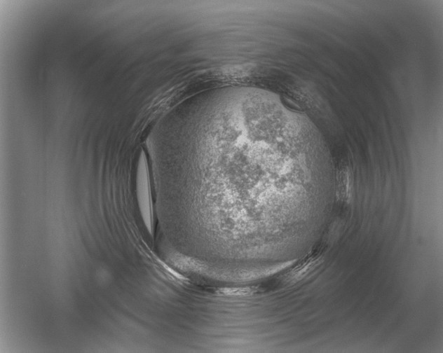 X0000052640238200507082014