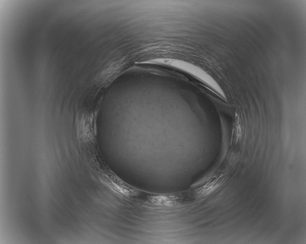 X0000052640239200507082013