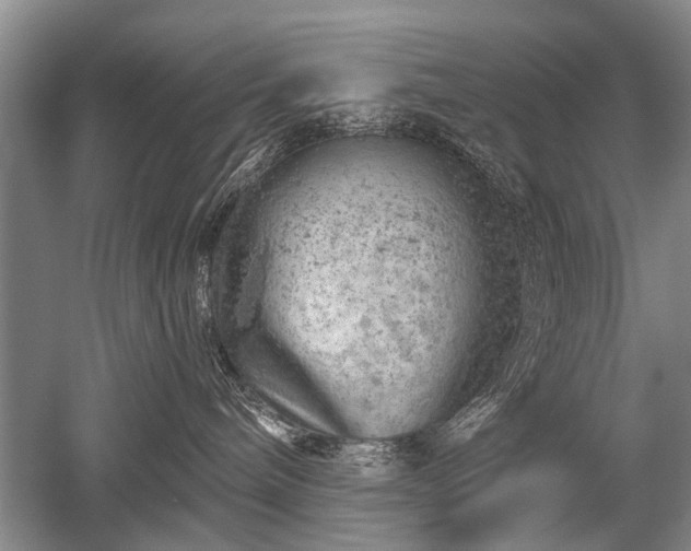 X0000052640240200507082013