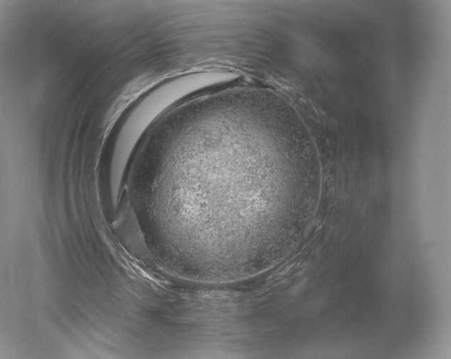 X0000052640242200507082013