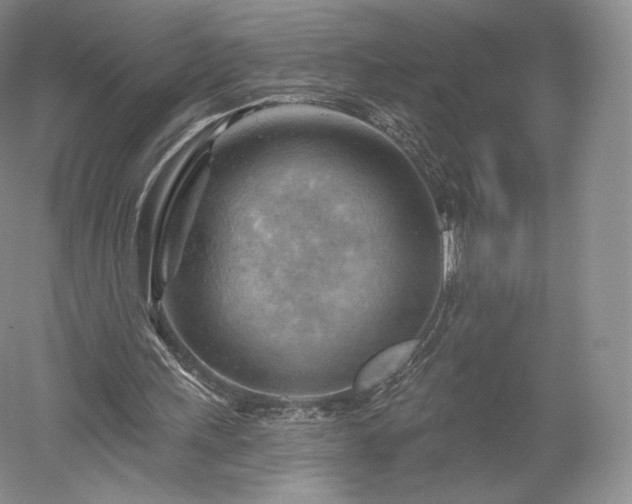 X0000052640243200507082013