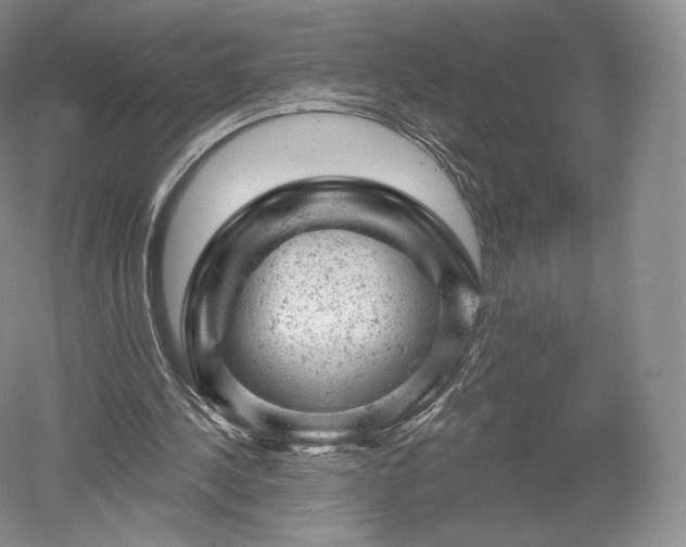 X0000052640244200507082013