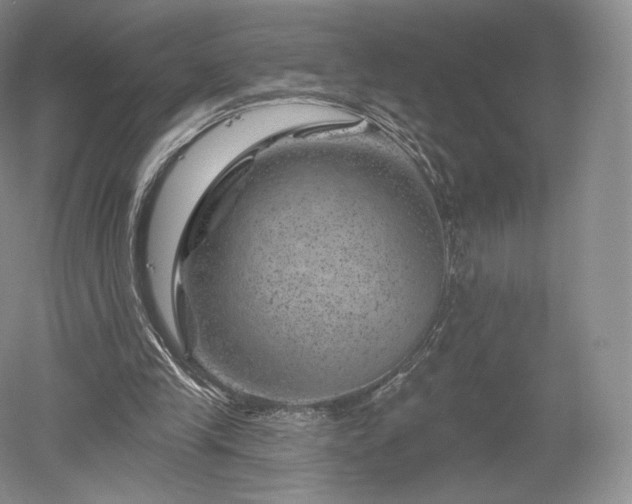 X0000052640245200507082013