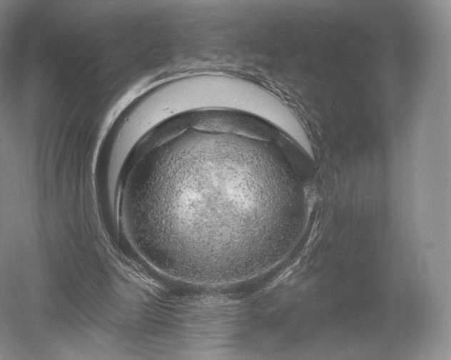 X0000052640246200507082013