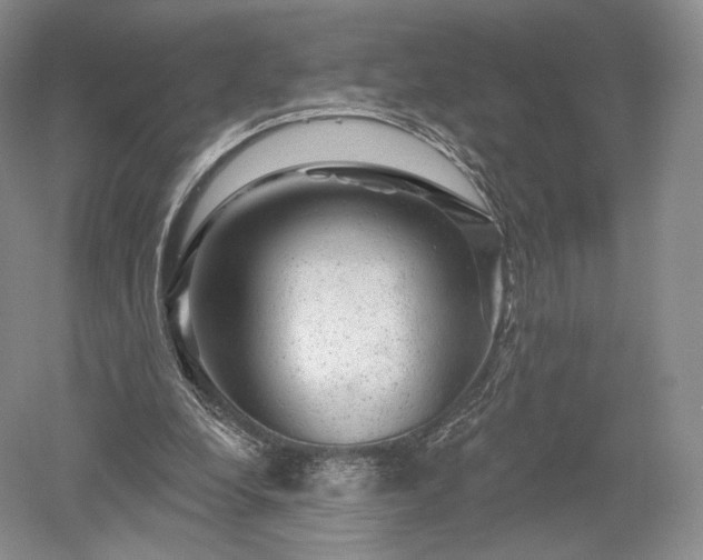 X0000052640248200507082013