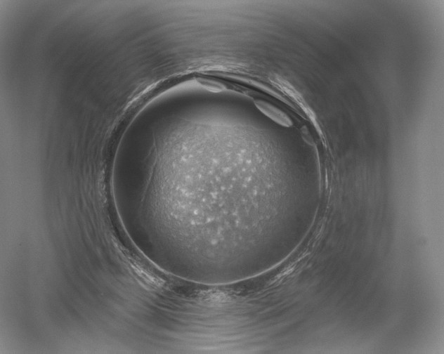 X0000052640249200507082013