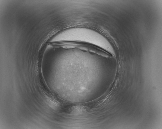 X0000052640250200507082013