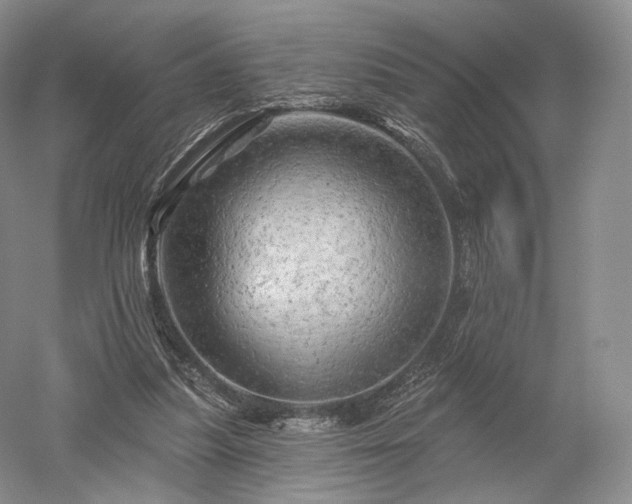 X0000052640251200507082013