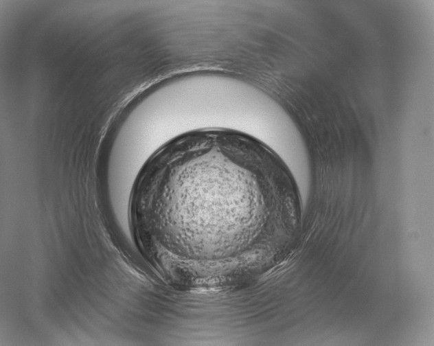 X0000052640252200507082013