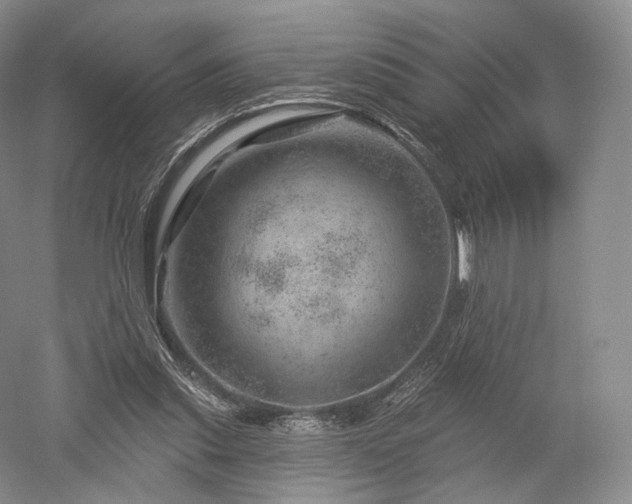 X0000052640253200507082013