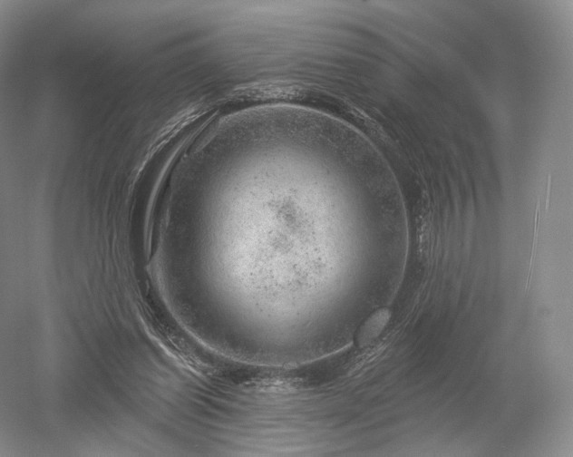 X0000052640254200507082013