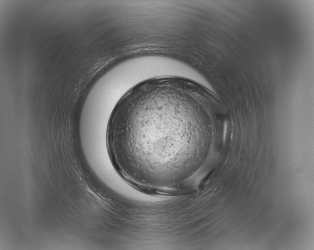 X0000052640255200507082013