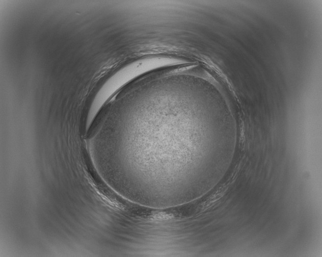 X0000052640257200507082013