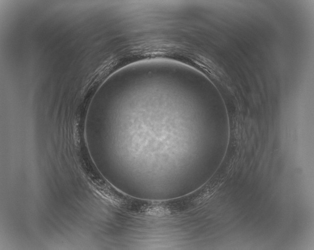 X0000052640258200507082013