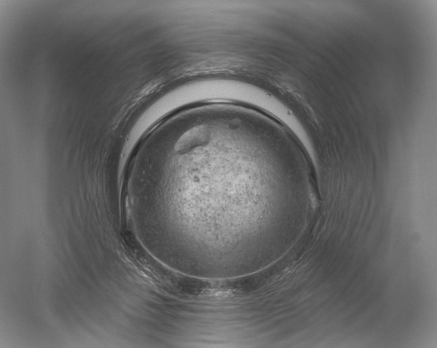 X0000052640260200507082013