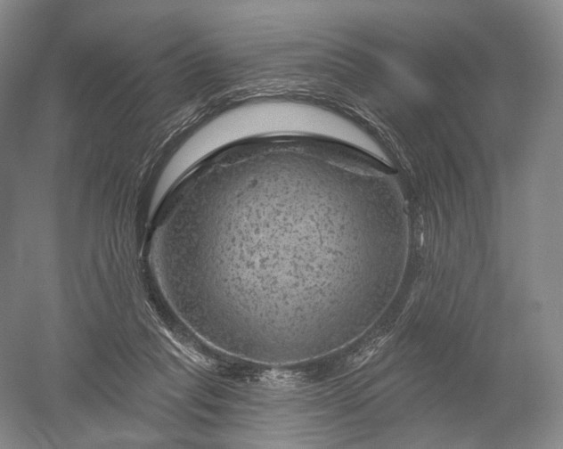 X0000052640261200507082013