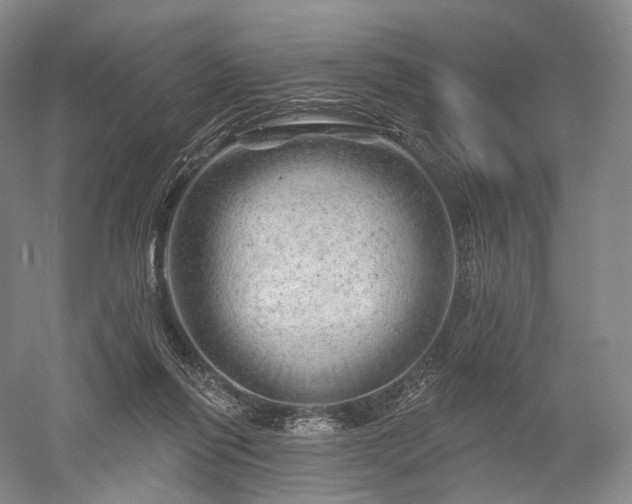 X0000052640262200507082013