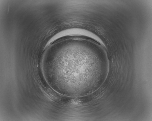 X0000052640263200507082013