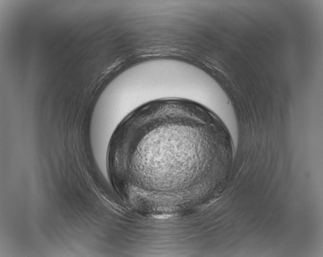 X0000052640264200507082013