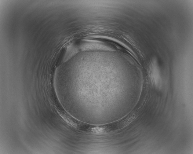 X0000052640265200507082013