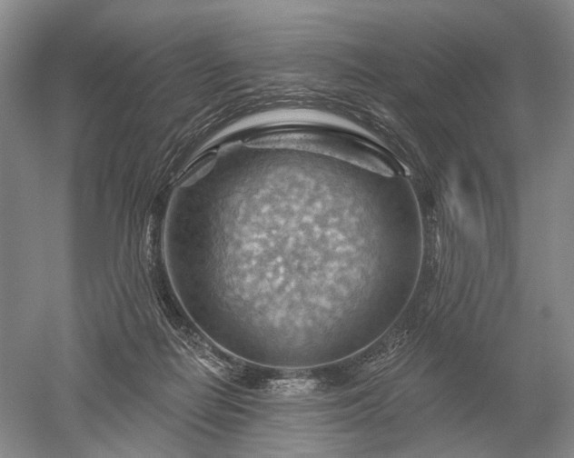 X0000052640266200507082013