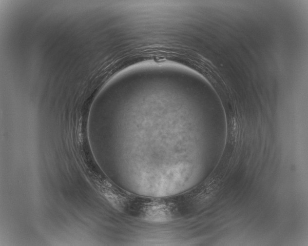 X0000052640267200507082013