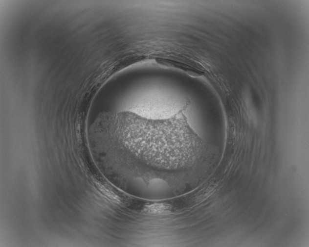 X0000052640269200507082013